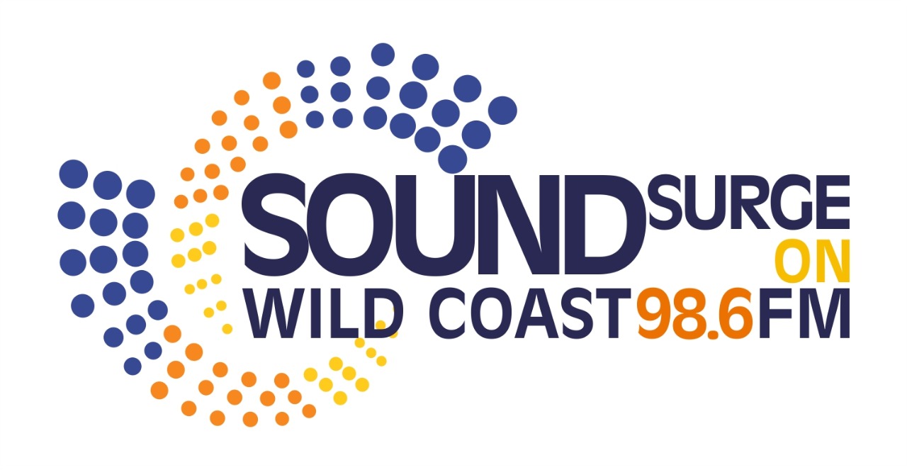 LOGO SOUND SURGE